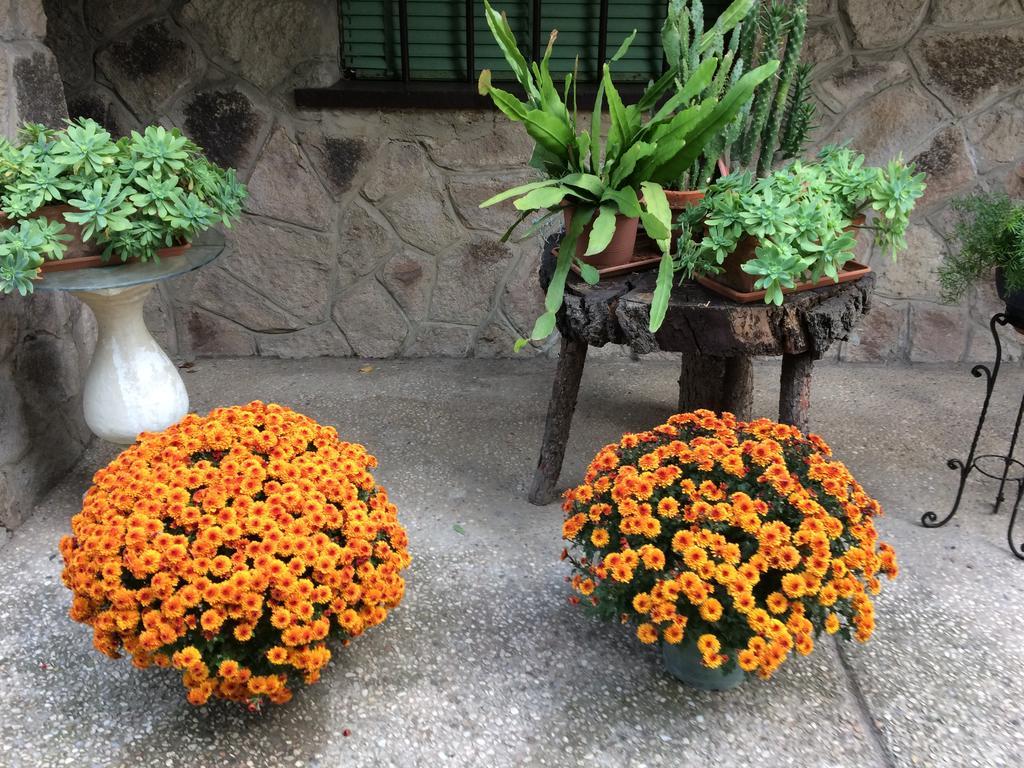 Tencarola B & B Luaran gambar