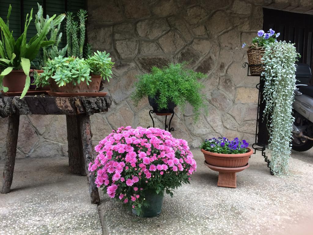 Tencarola B & B Luaran gambar